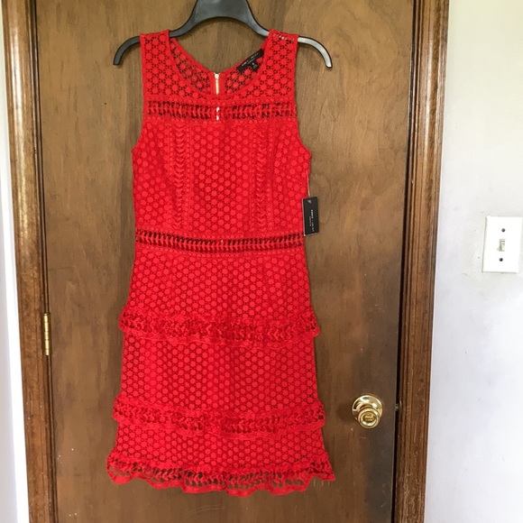 Romeo & Juliet Couture Dresses & Skirts - Romeo & Juliet couture dress crochet like shell w ruffle detail size M